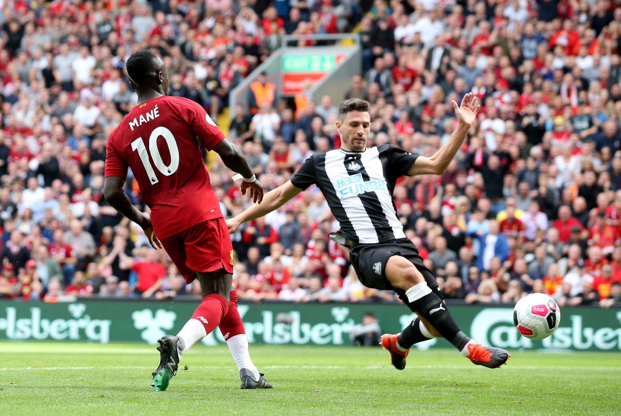 公众的期待 公众的期待