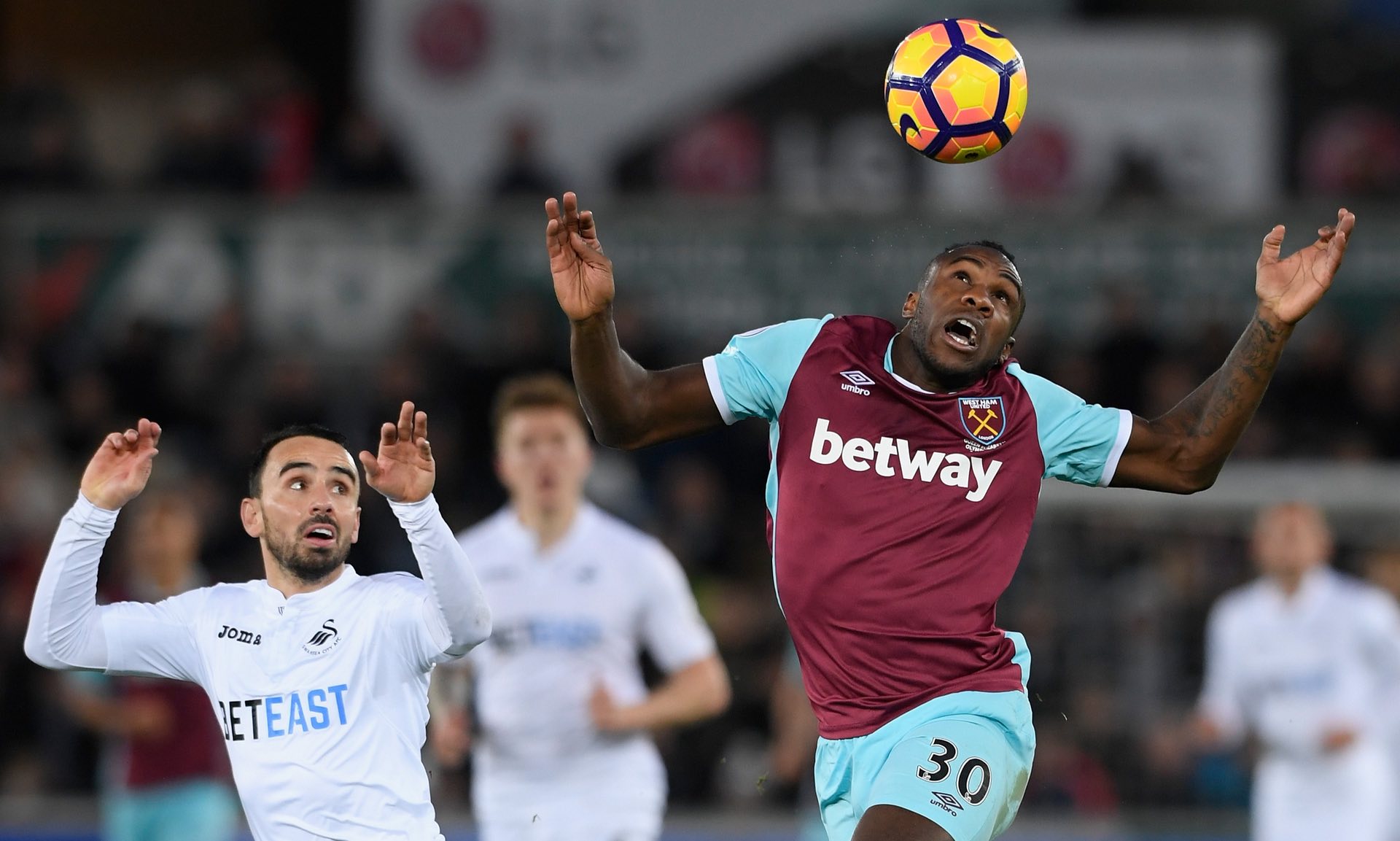 斯汀FC所 斯汀FC所